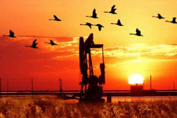 油田HSE管理能力研究 油田HSE管理能力研究